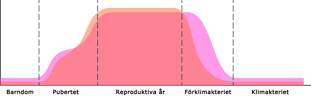 hormoner